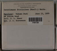 Image Associated With the Occurence